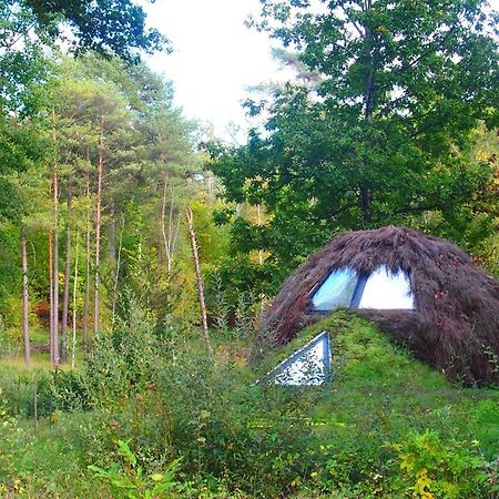 Le Cul De Loup Hotel Vouzon Kültér fotó